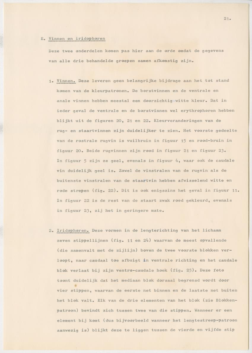 Het kleurgedrag van de normale en blinde vis, Pseudupeneus maculatus, in gevangenschap - New Page