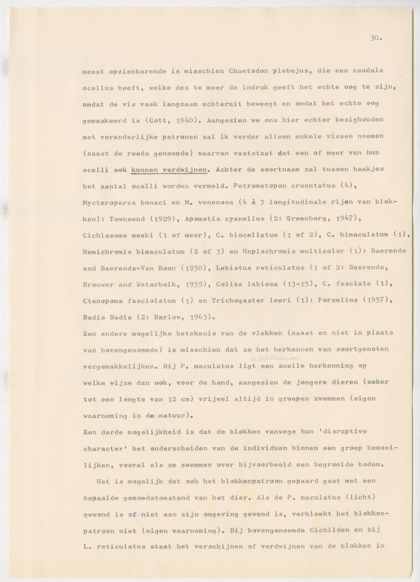 Het kleurgedrag van de normale en blinde vis, Pseudupeneus maculatus, in gevangenschap - New Page