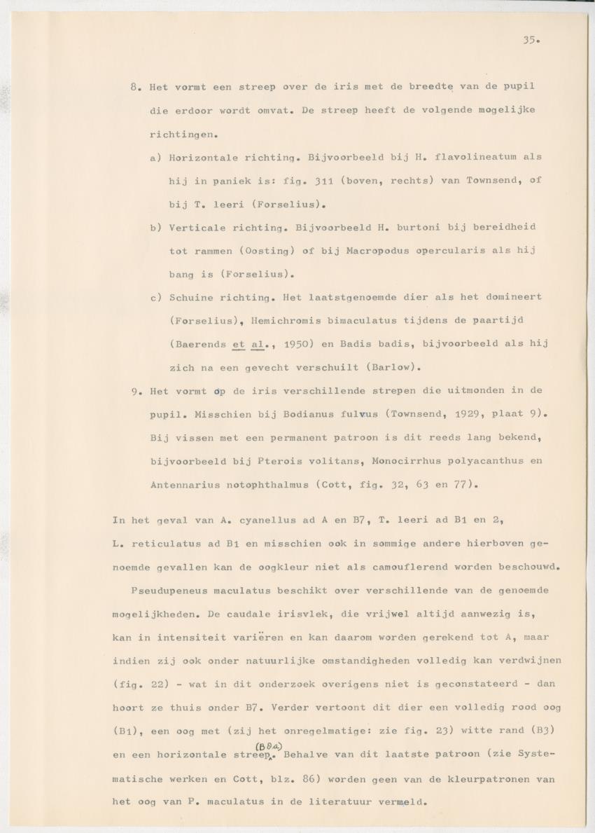 Het kleurgedrag van de normale en blinde vis, Pseudupeneus maculatus, in gevangenschap - New Page