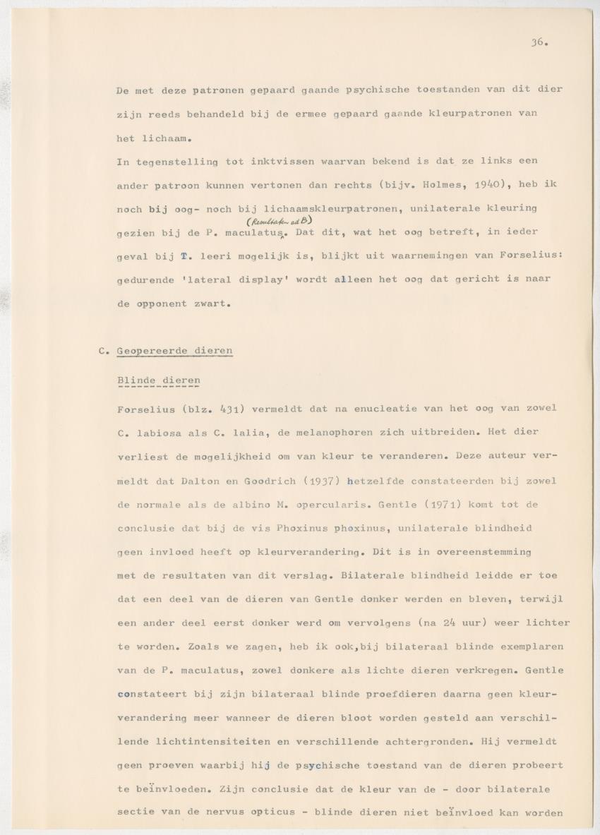 Het kleurgedrag van de normale en blinde vis, Pseudupeneus maculatus, in gevangenschap - New Page