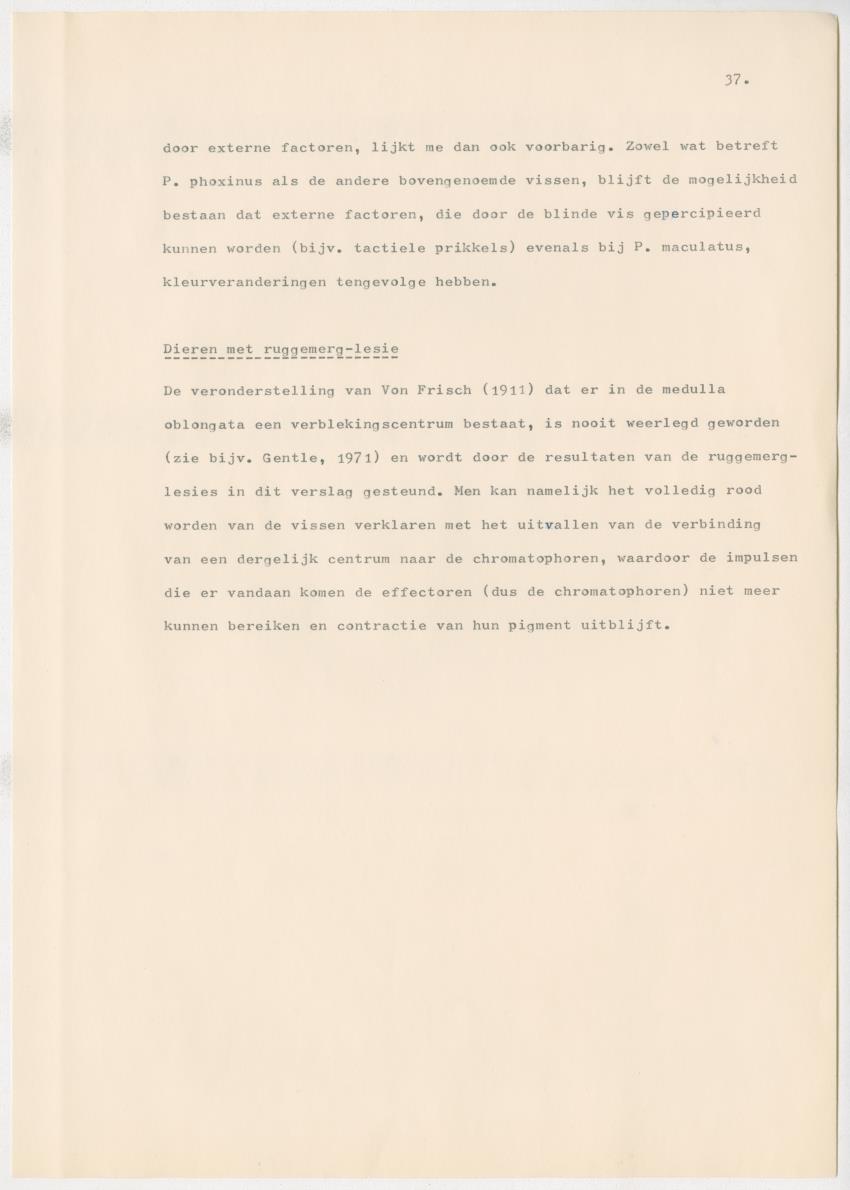 Het kleurgedrag van de normale en blinde vis, Pseudupeneus maculatus, in gevangenschap - New Page