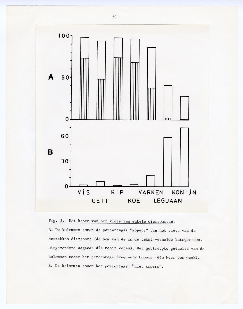 De betekenis van de leguaan als voedsel op Curacao - New Page