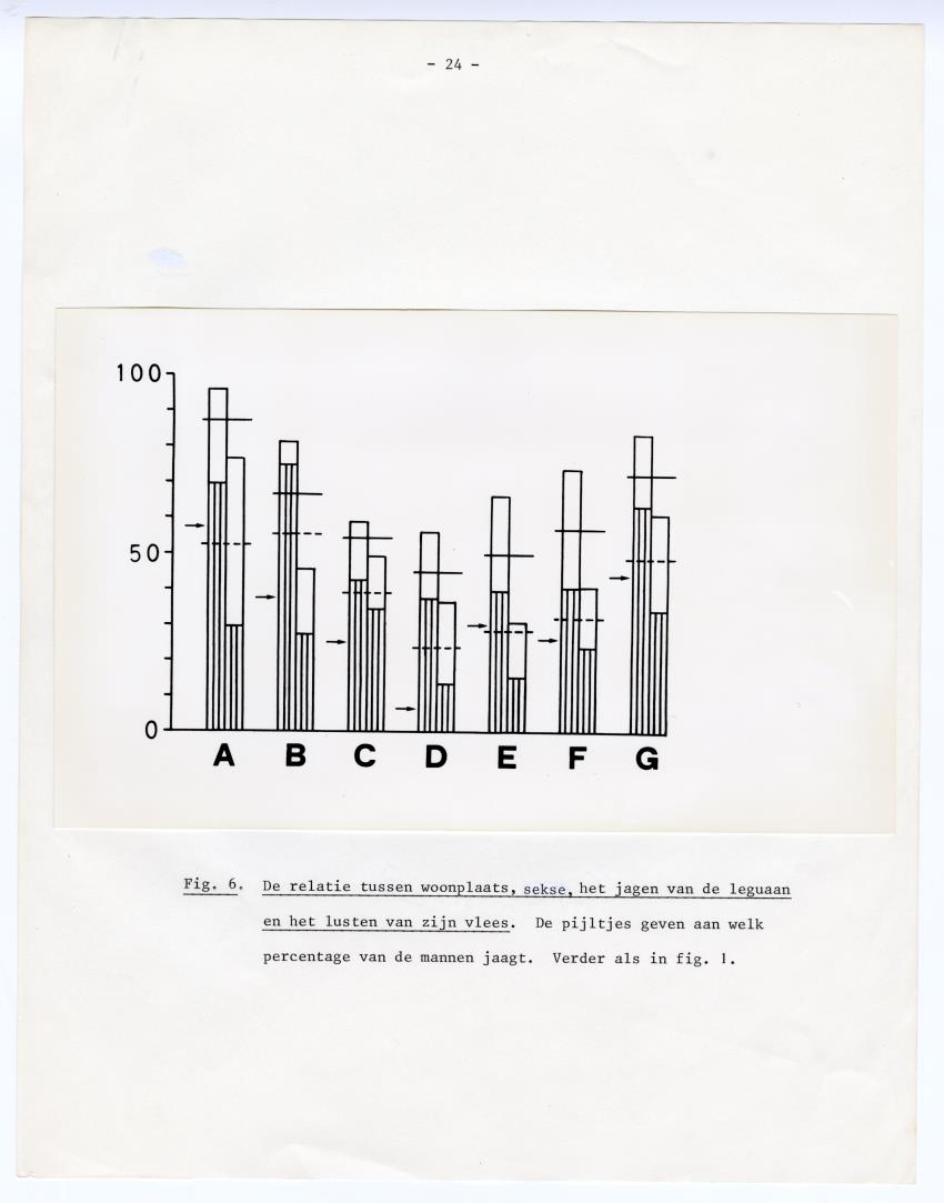 De betekenis van de leguaan als voedsel op Curacao - New Page
