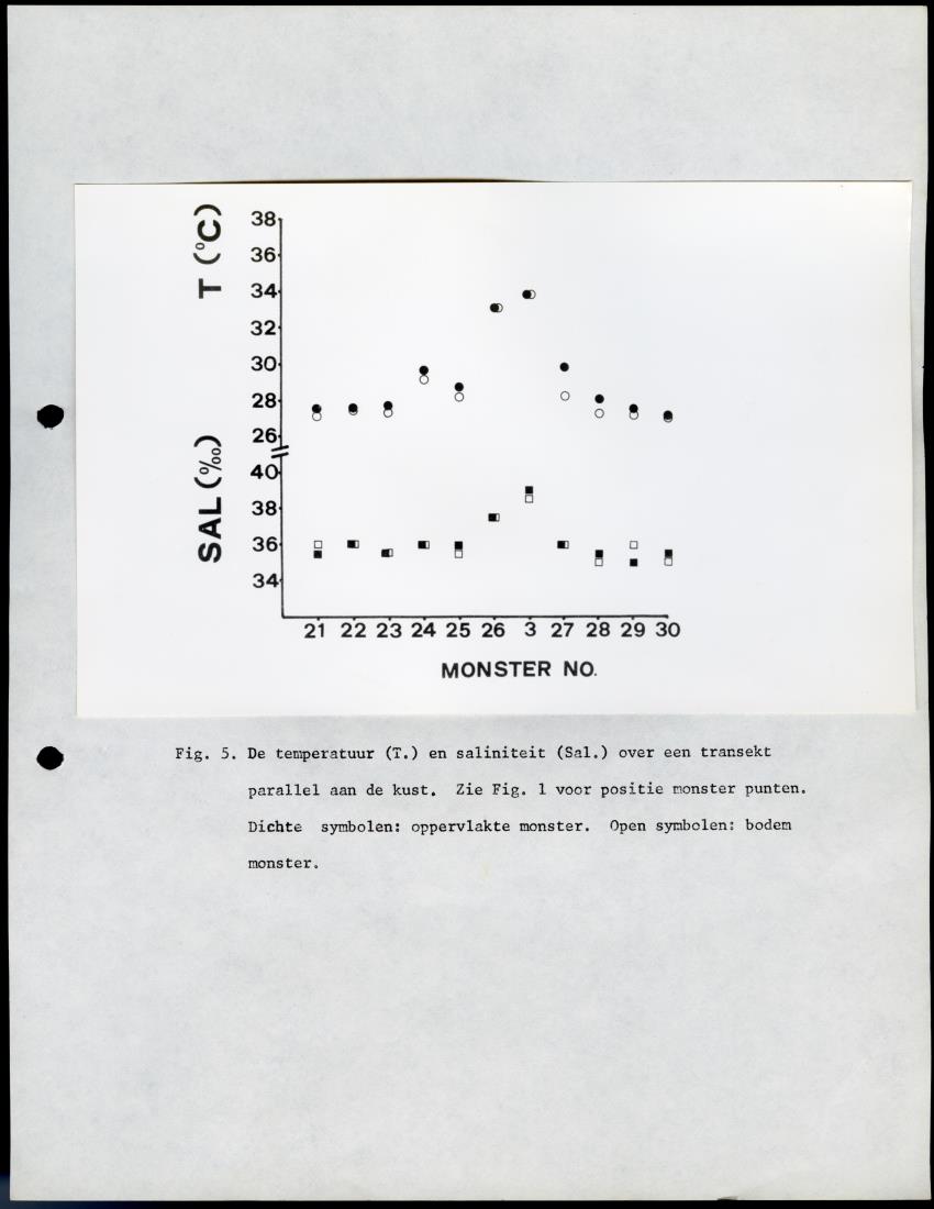 De invloed van het water en energie bedrijf (Bonaire) op het koraalrif - New Page