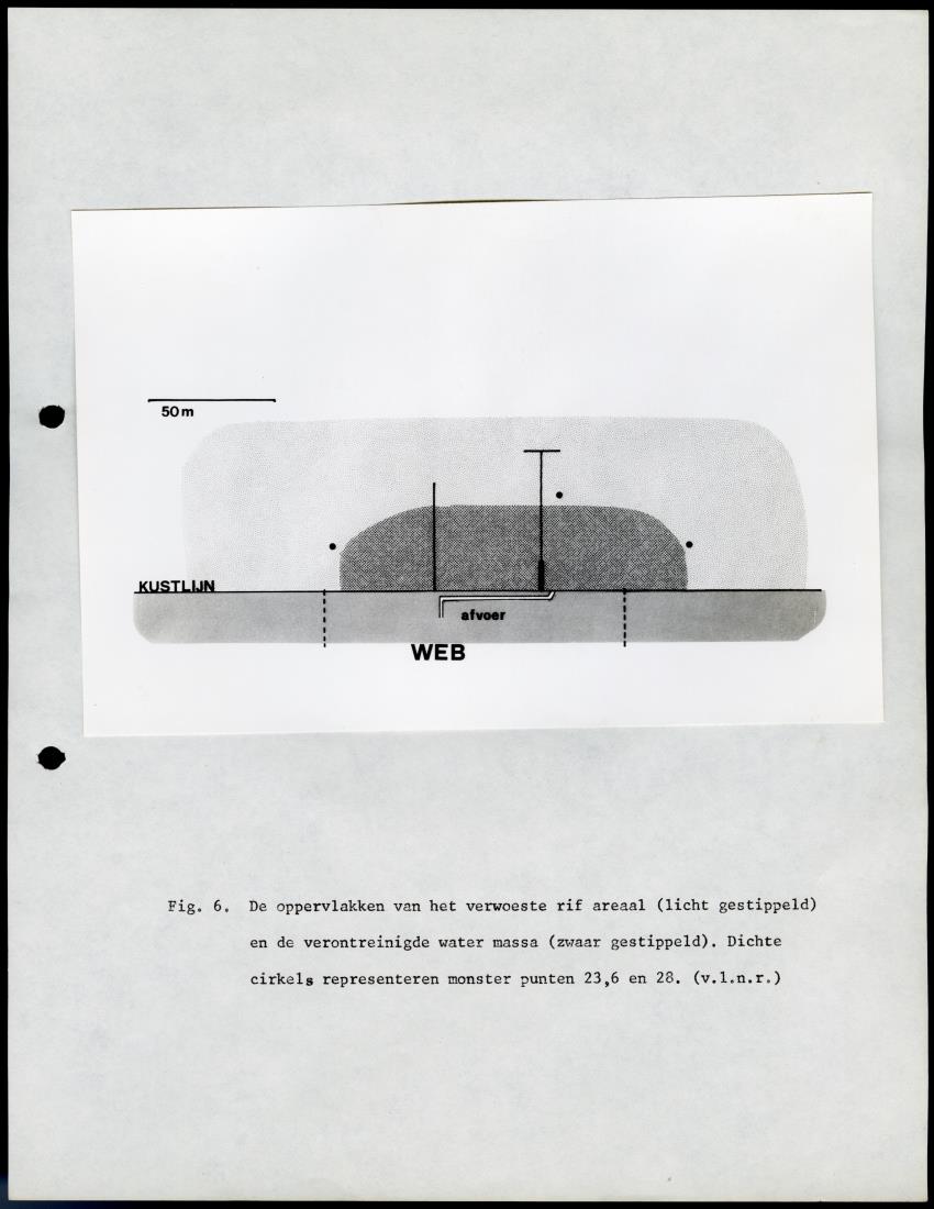 De invloed van het water en energie bedrijf (Bonaire) op het koraalrif - New Page
