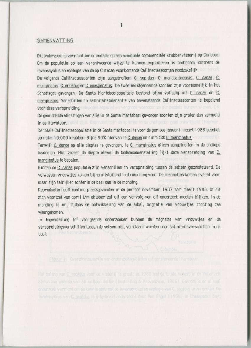 Populatiedynamische aspecten van het genus Callinectes op Curacao - New Page