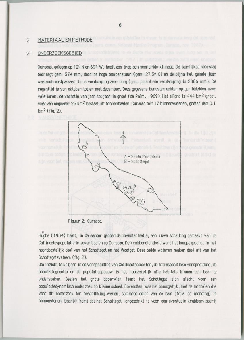 Populatiedynamische aspecten van het genus Callinectes op Curacao - New Page