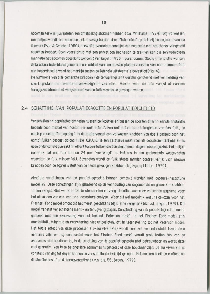 Populatiedynamische aspecten van het genus Callinectes op Curacao - New Page