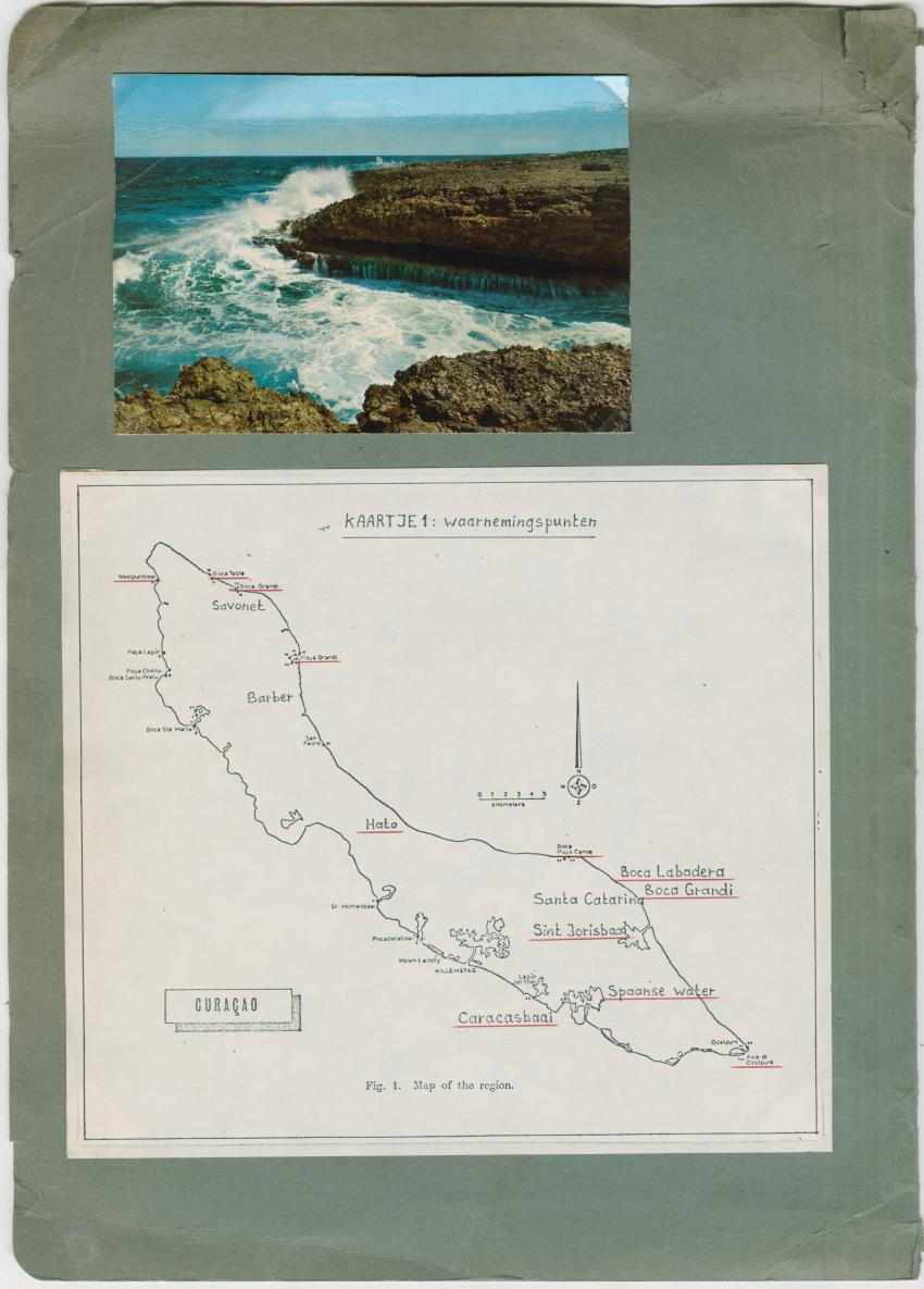 Z-Een onderzoek naar de geomorfologische processen aan de kusten van Curacao - New Page