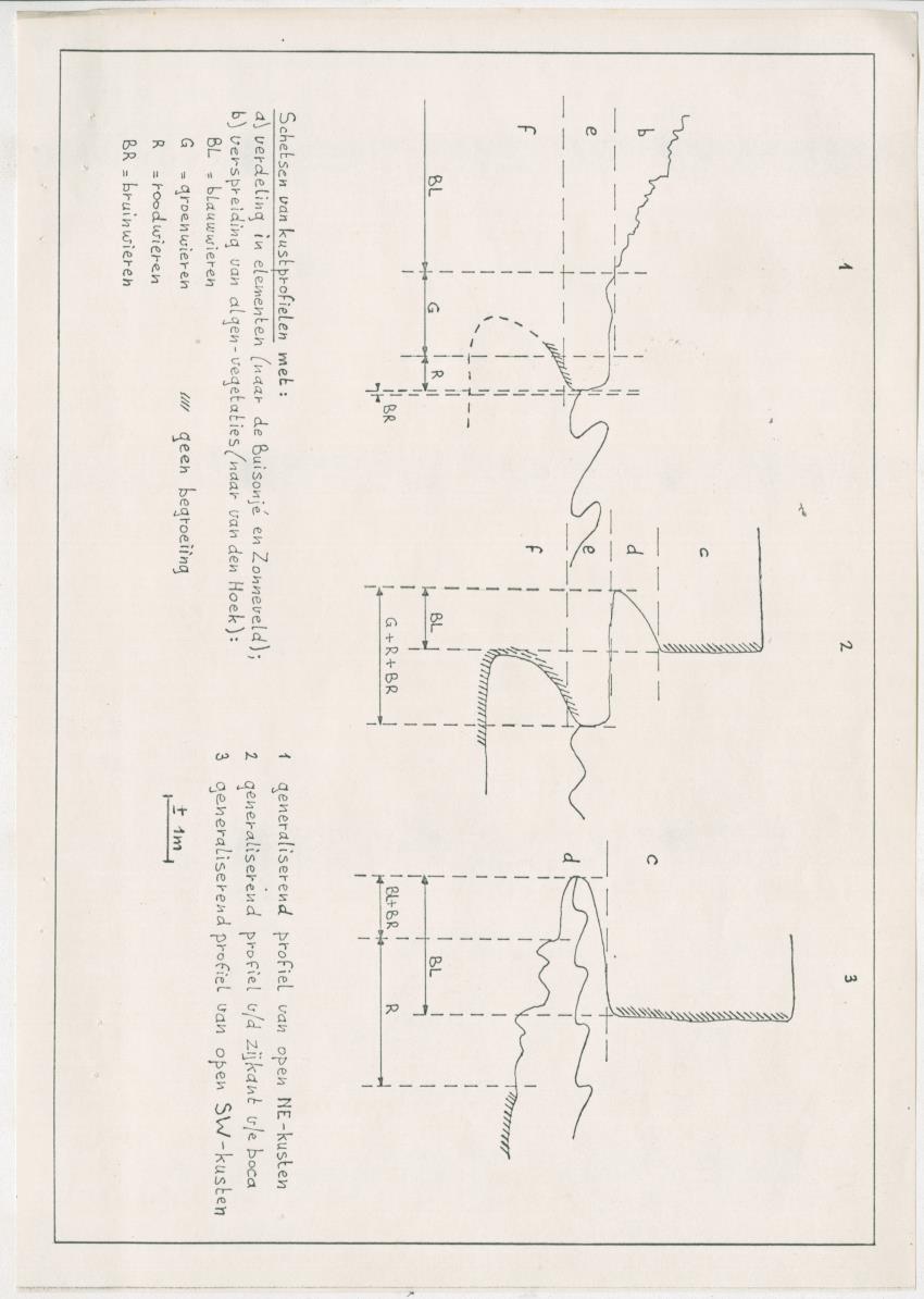 Z-Een onderzoek naar de geomorfologische processen aan de kusten van Curacao - New Page
