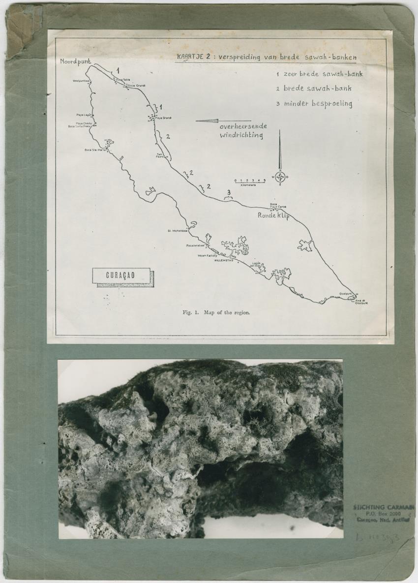 Z-Een onderzoek naar de geomorfologische processen aan de kusten van Curacao - New Page