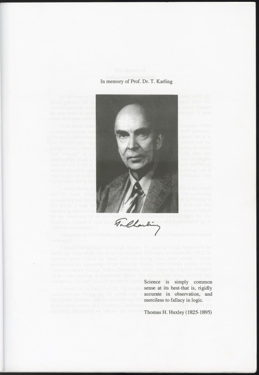 Z-Cladistic analysis of the Polycystididae (Platyhelminthes Kalyptorrhynchia), with application of phylogenetic nomenclature - New Page
