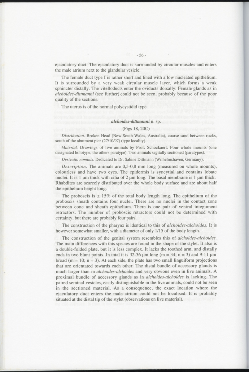Z-Cladistic analysis of the Polycystididae (Platyhelminthes Kalyptorrhynchia), with application of phylogenetic nomenclature - New Page