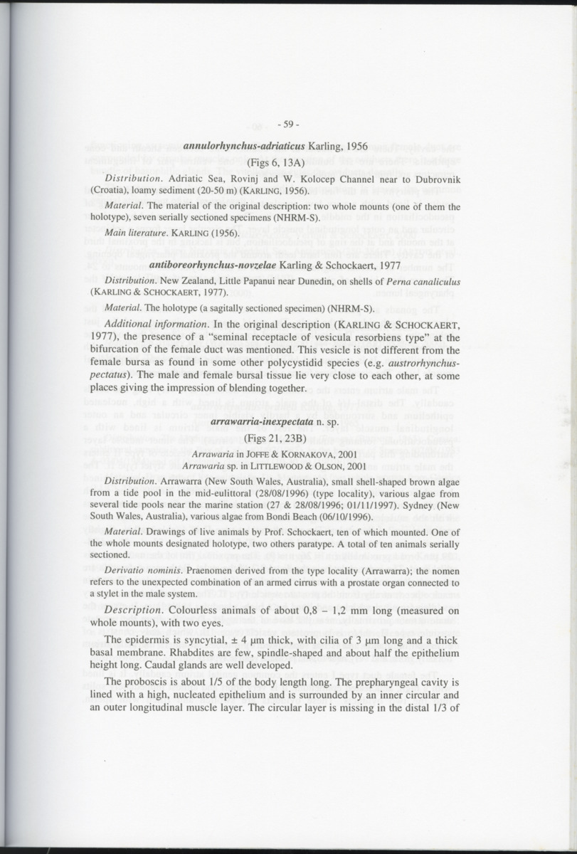 Z-Cladistic analysis of the Polycystididae (Platyhelminthes Kalyptorrhynchia), with application of phylogenetic nomenclature - New Page