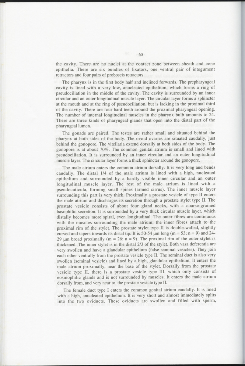 Z-Cladistic analysis of the Polycystididae (Platyhelminthes Kalyptorrhynchia), with application of phylogenetic nomenclature - New Page