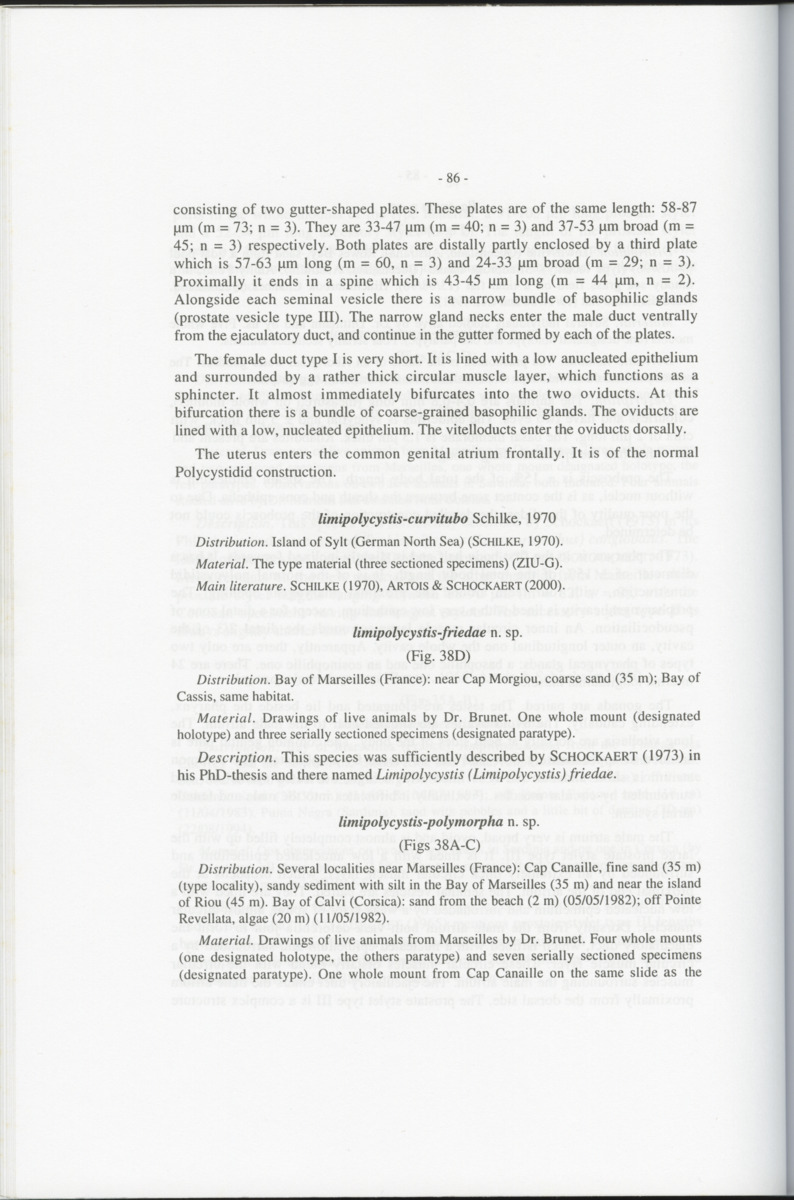 Z-Cladistic analysis of the Polycystididae (Platyhelminthes Kalyptorrhynchia), with application of phylogenetic nomenclature - New Page