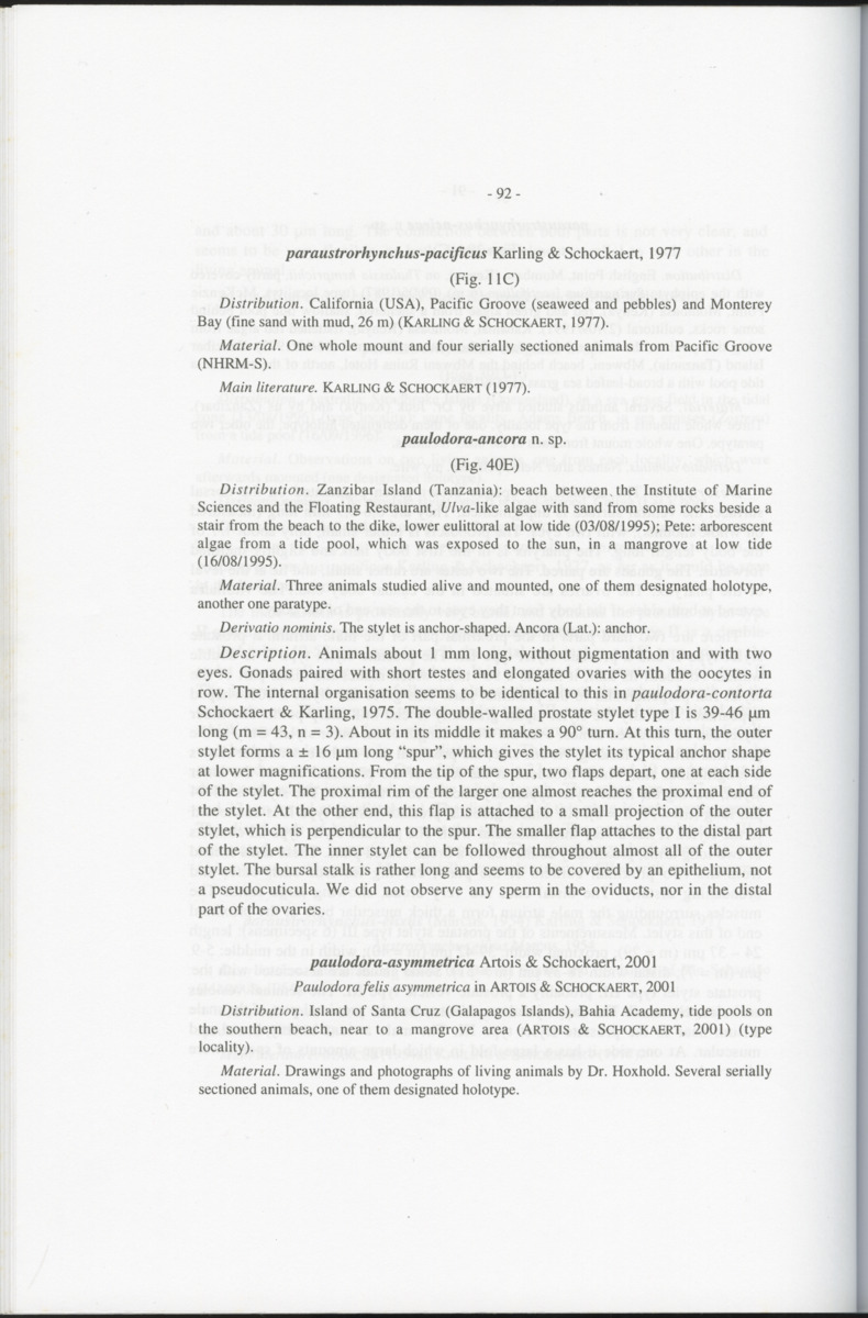 Z-Cladistic analysis of the Polycystididae (Platyhelminthes Kalyptorrhynchia), with application of phylogenetic nomenclature - New Page