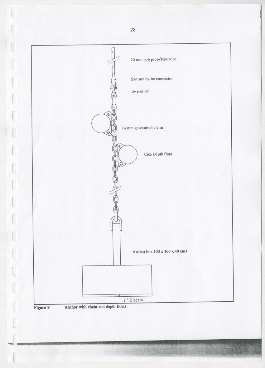 Z-The Construction and Deployment of Deep Water Fish Aggregating Devices in the Island of Curacao - New Page