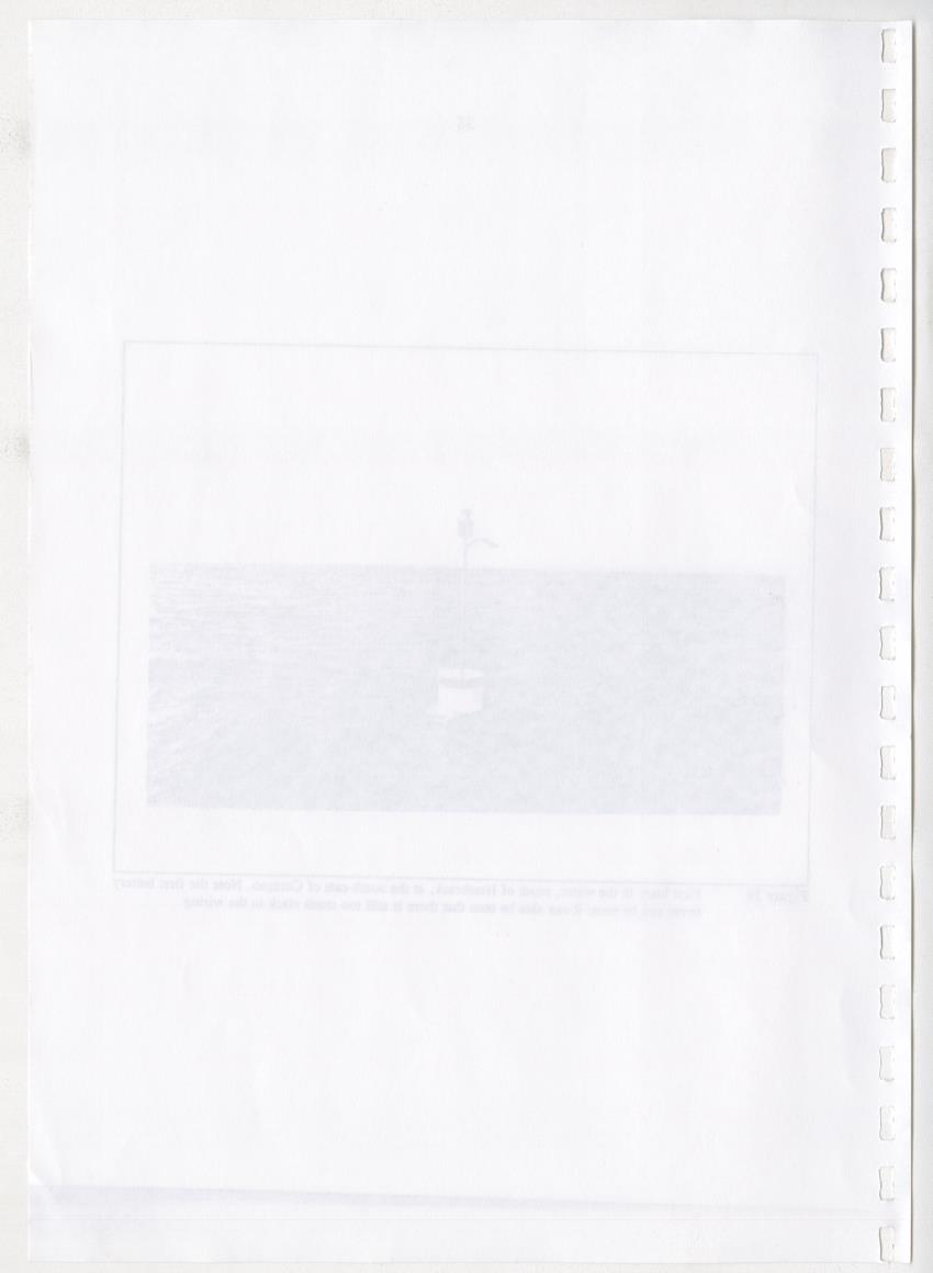 Z-The Construction and Deployment of Deep Water Fish Aggregating Devices in the Island of Curacao - New Page