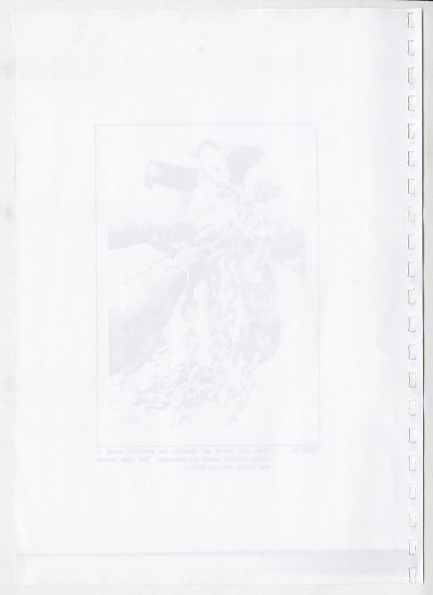 Z-The Construction and Deployment of Deep Water Fish Aggregating Devices in the Island of Curacao - New Page