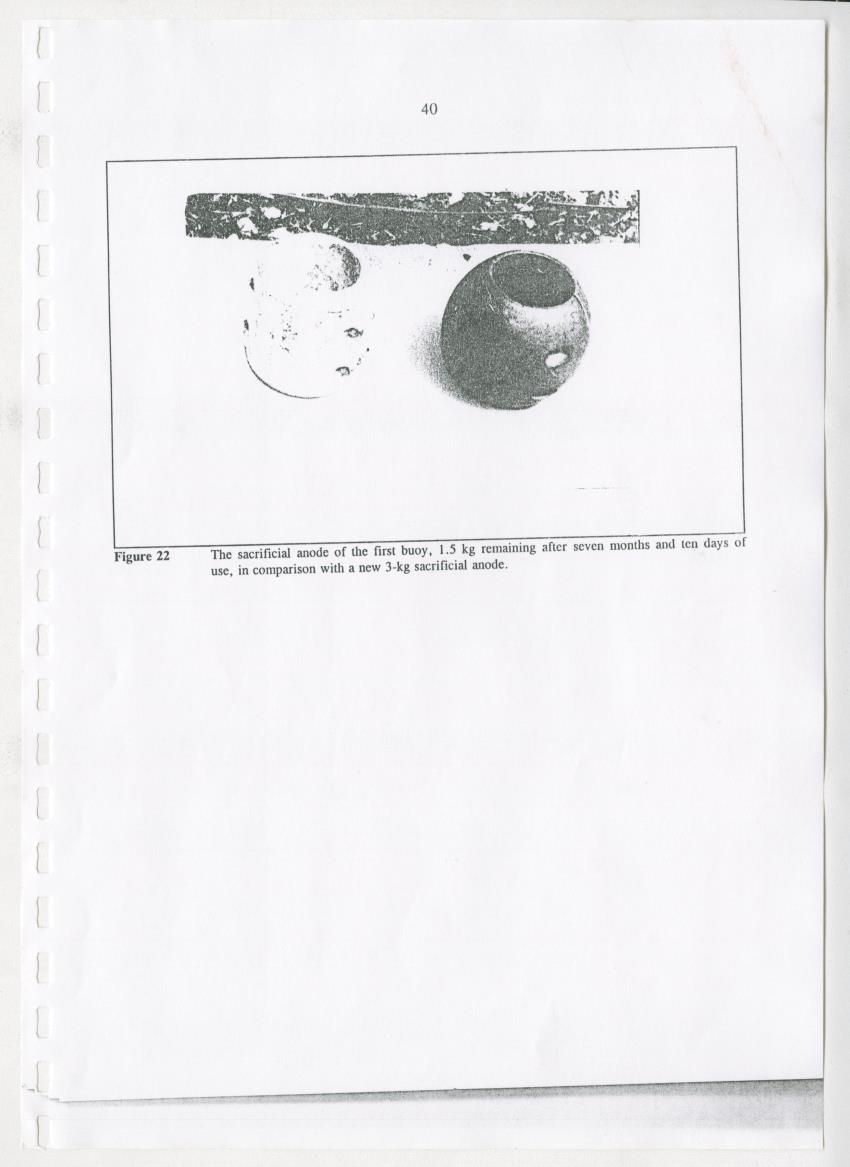 Z-The Construction and Deployment of Deep Water Fish Aggregating Devices in the Island of Curacao - New Page