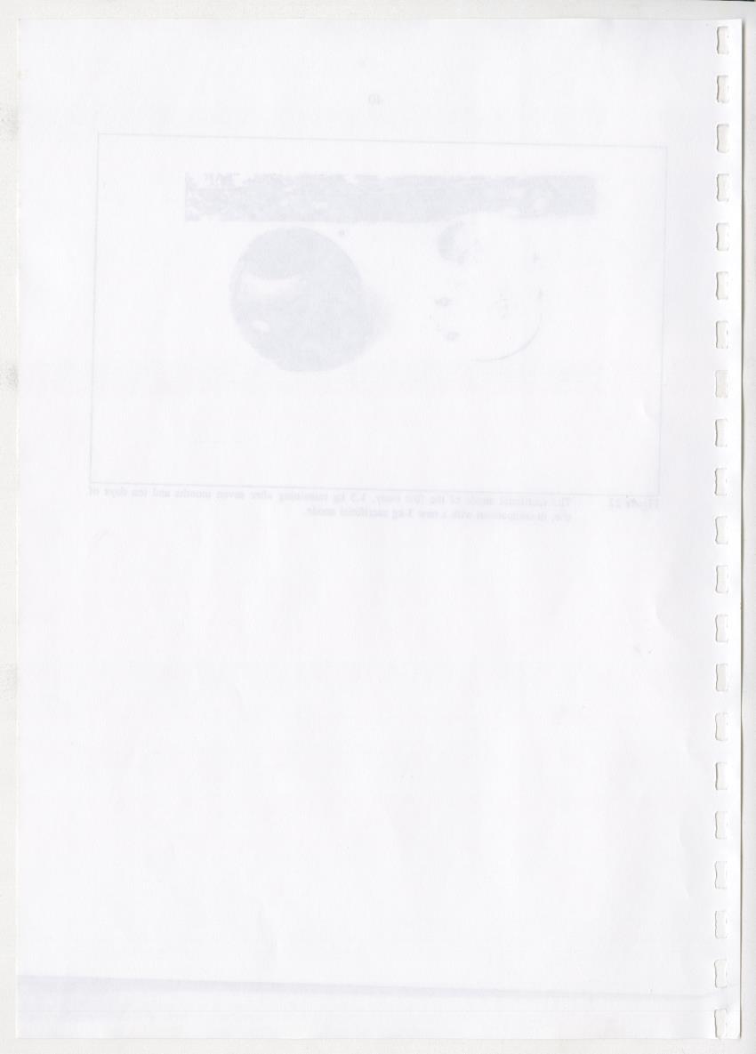 Z-The Construction and Deployment of Deep Water Fish Aggregating Devices in the Island of Curacao - New Page