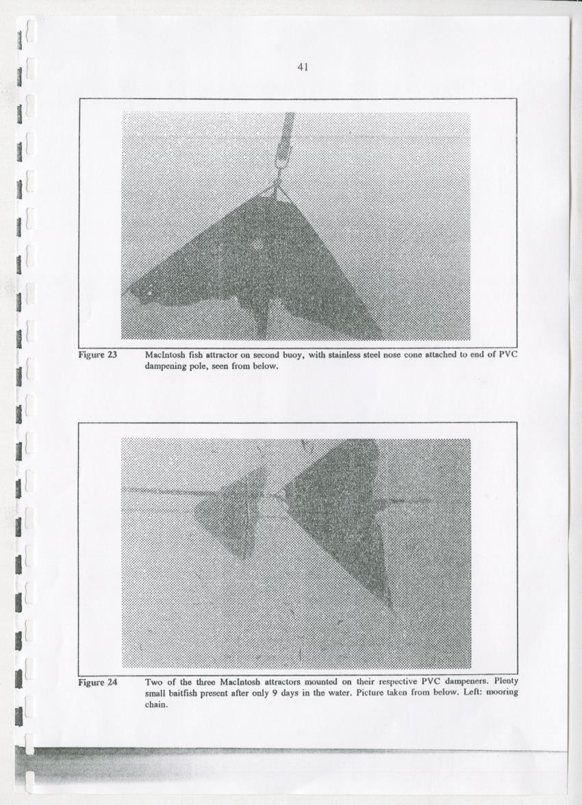 Z-The Construction and Deployment of Deep Water Fish Aggregating Devices in the Island of Curacao - New Page