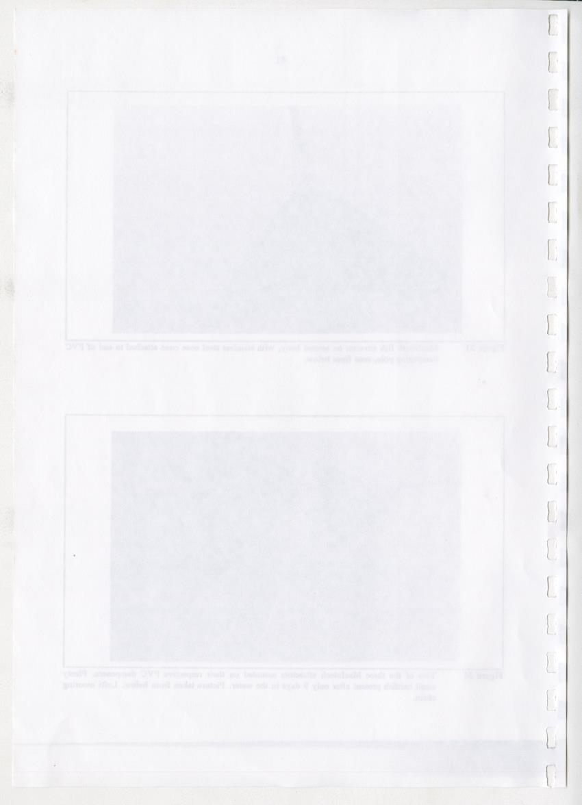 Z-The Construction and Deployment of Deep Water Fish Aggregating Devices in the Island of Curacao - New Page