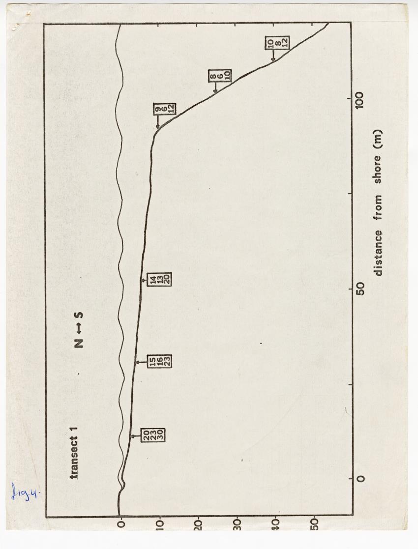Quantum light measurements and observations on water movement along the Curacao fore reef slope - New Page