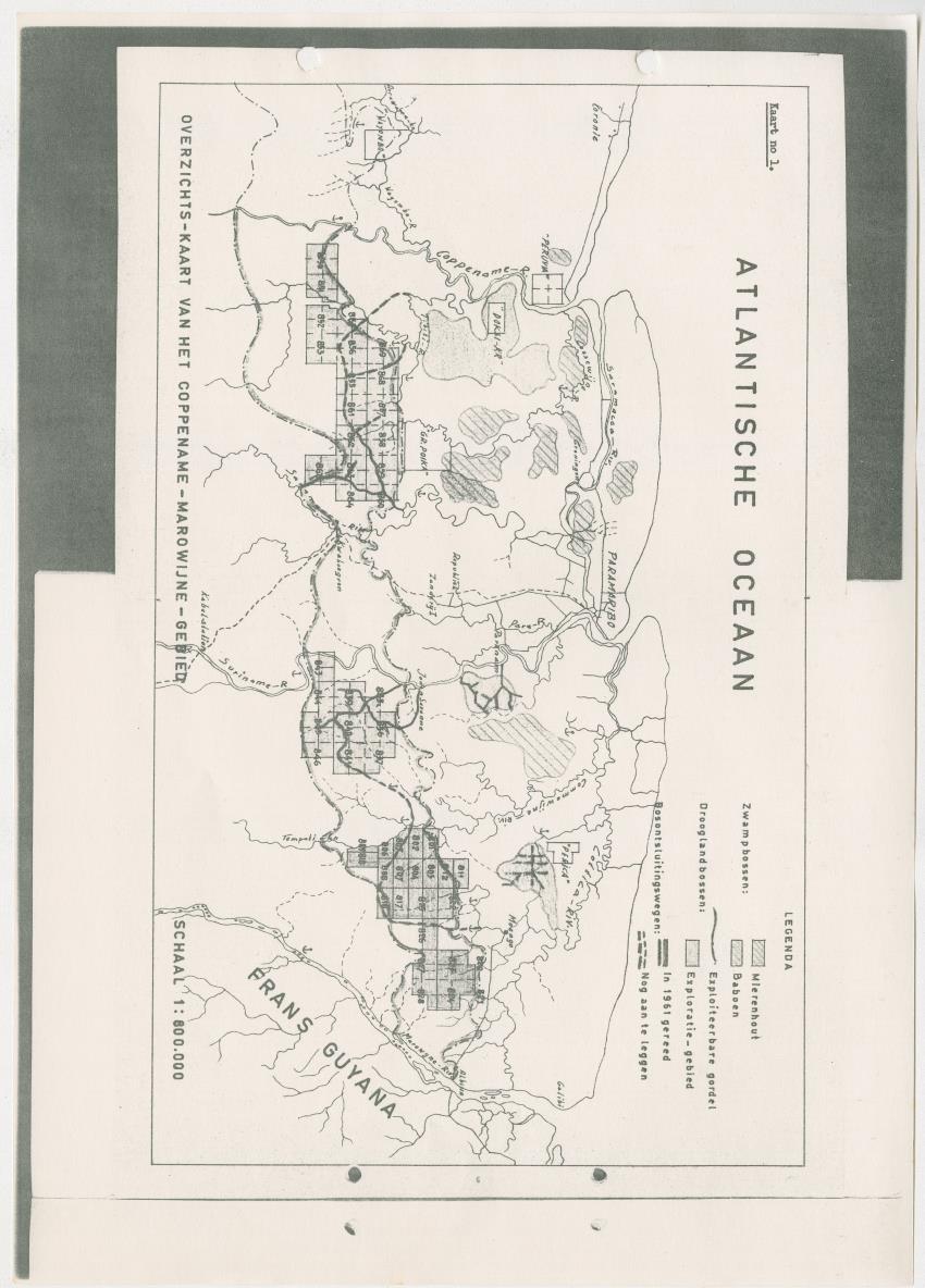 Z-Rapport over het gedurende de maanden juli en augustus 1961 in Suriname en de Nederlandse Antillen ten behoeve van het tien jaren plan verrichte onderzoek op het gebied van de Bosbouw - New Page