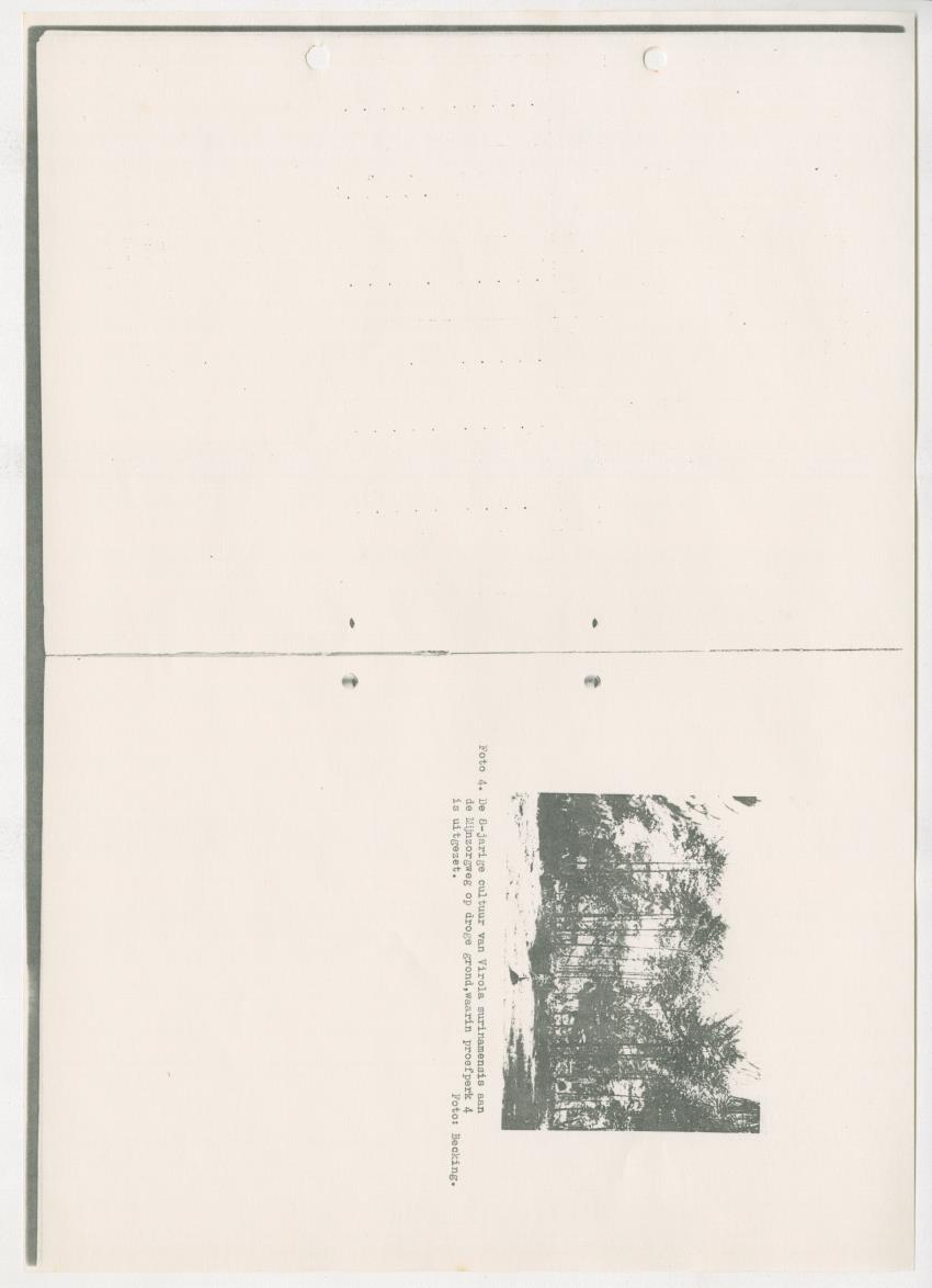 Z-Rapport over het gedurende de maanden juli en augustus 1961 in Suriname en de Nederlandse Antillen ten behoeve van het tien jaren plan verrichte onderzoek op het gebied van de Bosbouw - New Page