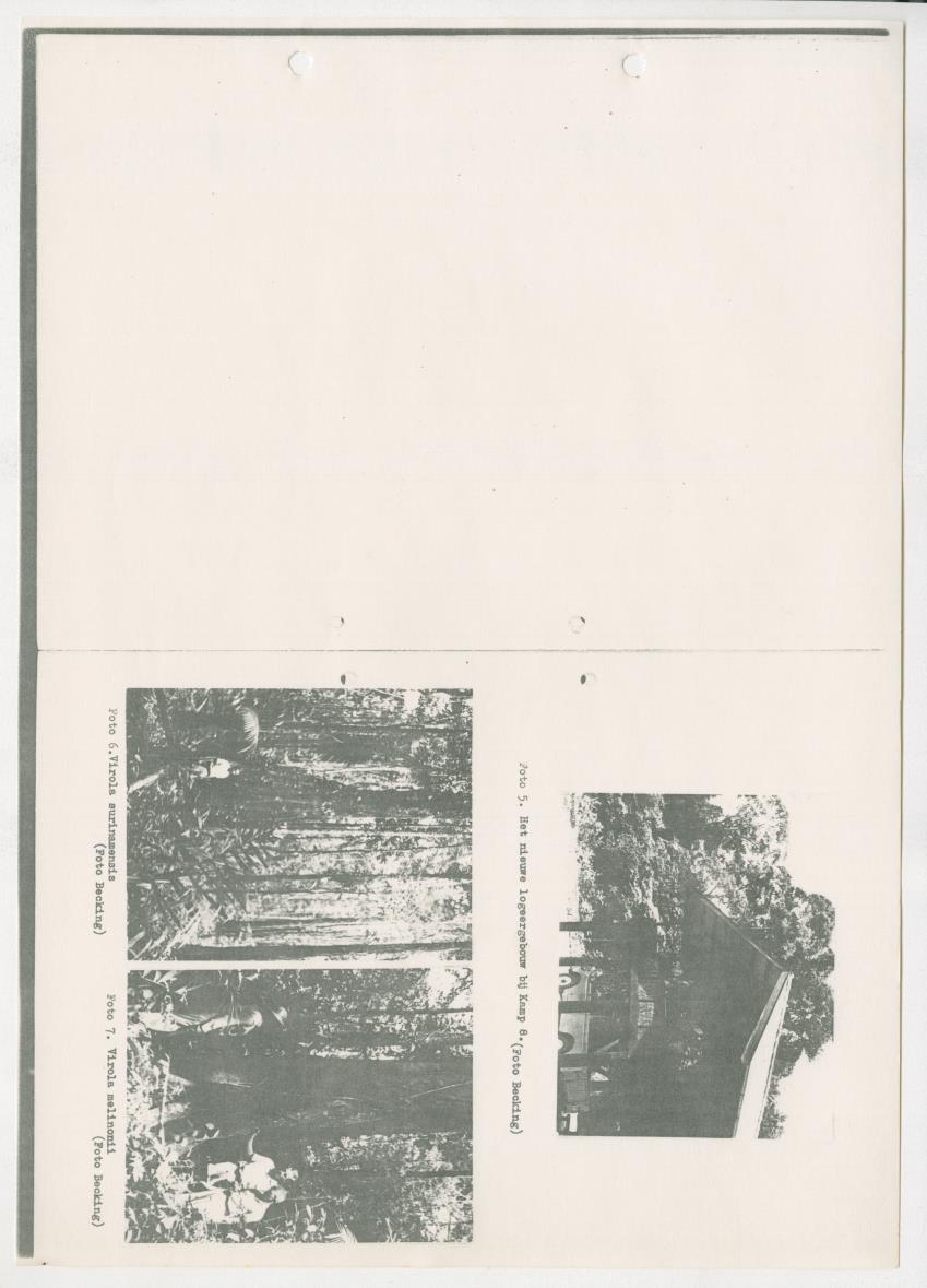 Z-Rapport over het gedurende de maanden juli en augustus 1961 in Suriname en de Nederlandse Antillen ten behoeve van het tien jaren plan verrichte onderzoek op het gebied van de Bosbouw - New Page
