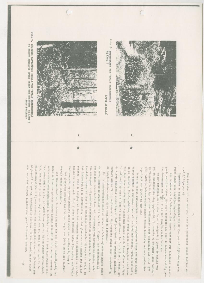 Z-Rapport over het gedurende de maanden juli en augustus 1961 in Suriname en de Nederlandse Antillen ten behoeve van het tien jaren plan verrichte onderzoek op het gebied van de Bosbouw - New Page