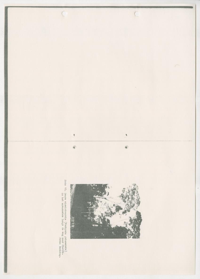 Z-Rapport over het gedurende de maanden juli en augustus 1961 in Suriname en de Nederlandse Antillen ten behoeve van het tien jaren plan verrichte onderzoek op het gebied van de Bosbouw - New Page