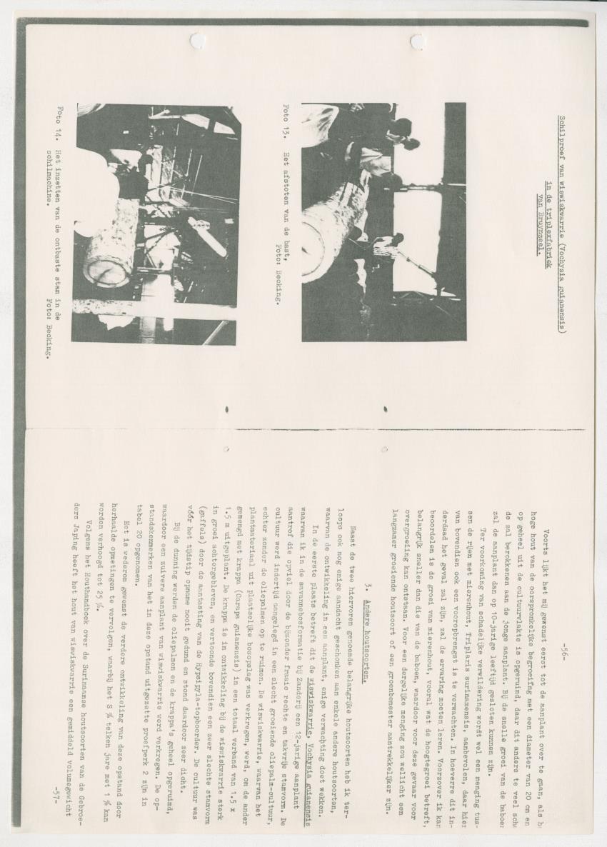Z-Rapport over het gedurende de maanden juli en augustus 1961 in Suriname en de Nederlandse Antillen ten behoeve van het tien jaren plan verrichte onderzoek op het gebied van de Bosbouw - New Page