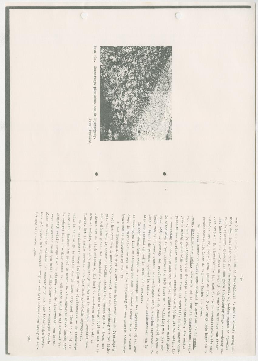 Z-Rapport over het gedurende de maanden juli en augustus 1961 in Suriname en de Nederlandse Antillen ten behoeve van het tien jaren plan verrichte onderzoek op het gebied van de Bosbouw - New Page