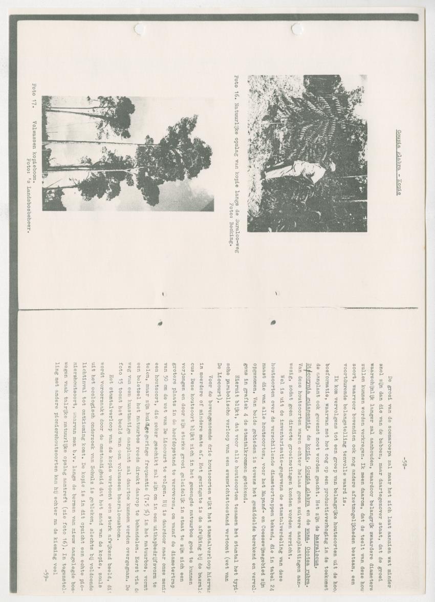 Z-Rapport over het gedurende de maanden juli en augustus 1961 in Suriname en de Nederlandse Antillen ten behoeve van het tien jaren plan verrichte onderzoek op het gebied van de Bosbouw - New Page