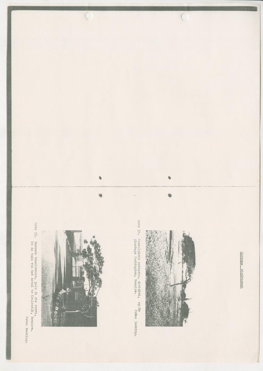 Z-Rapport over het gedurende de maanden juli en augustus 1961 in Suriname en de Nederlandse Antillen ten behoeve van het tien jaren plan verrichte onderzoek op het gebied van de Bosbouw - New Page