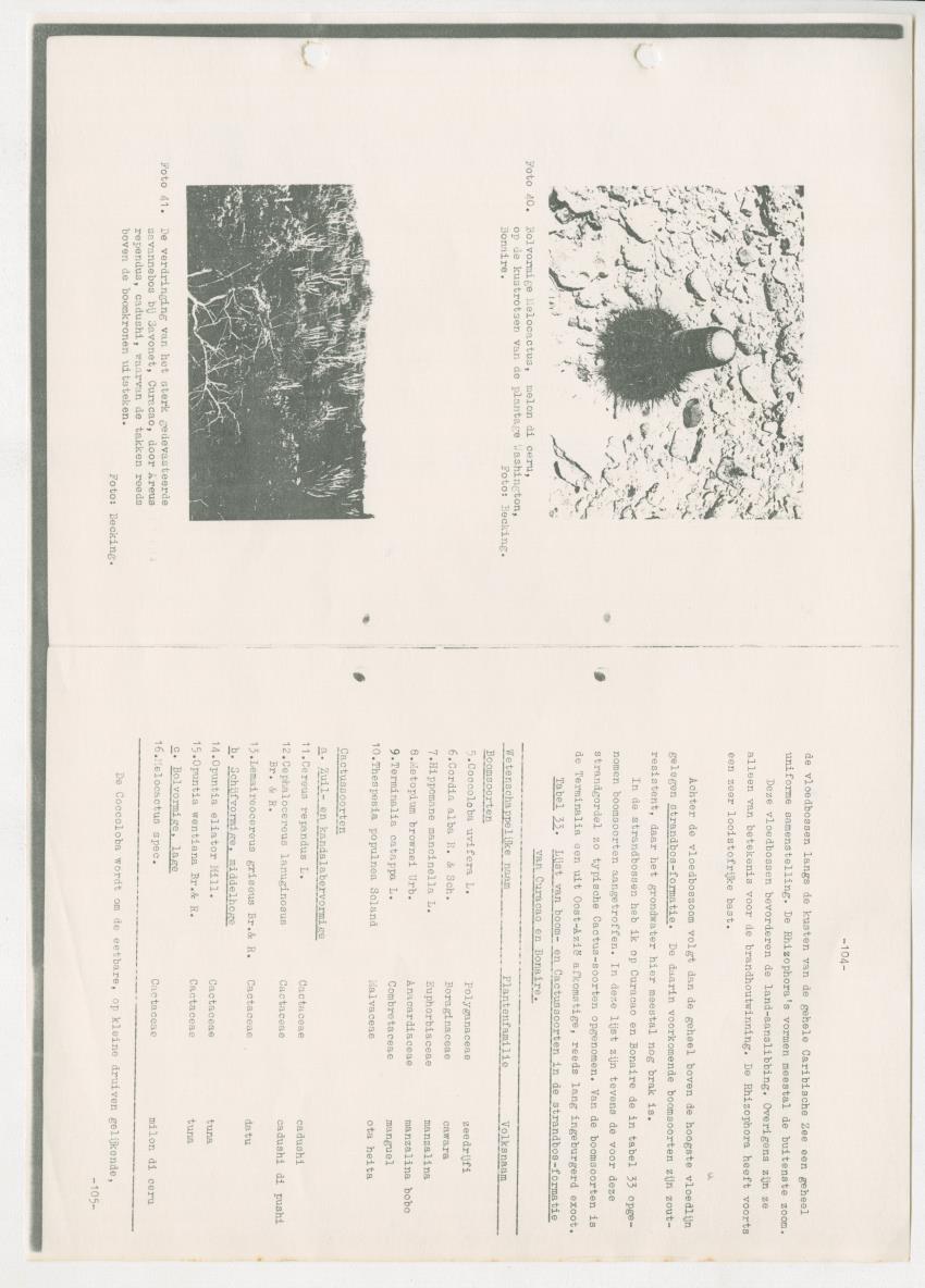 Z-Rapport over het gedurende de maanden juli en augustus 1961 in Suriname en de Nederlandse Antillen ten behoeve van het tien jaren plan verrichte onderzoek op het gebied van de Bosbouw - New Page