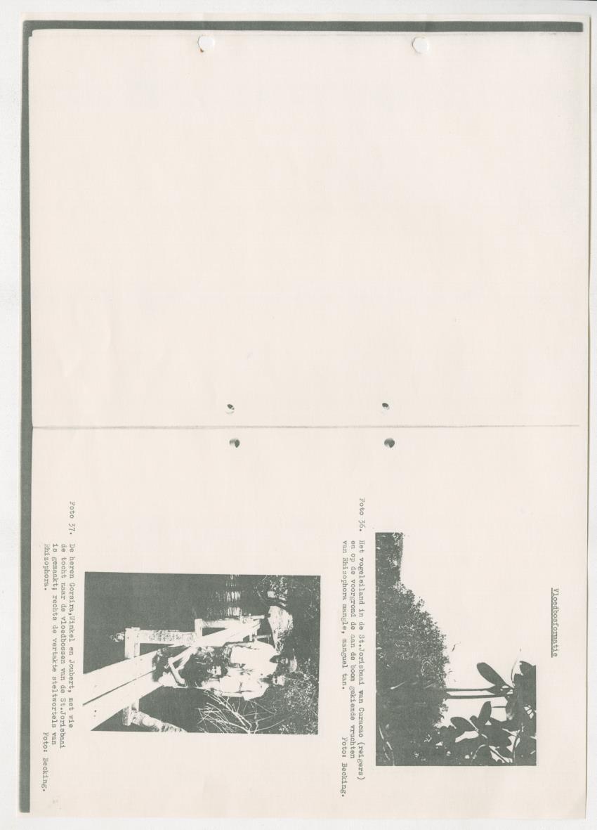 Z-Rapport over het gedurende de maanden juli en augustus 1961 in Suriname en de Nederlandse Antillen ten behoeve van het tien jaren plan verrichte onderzoek op het gebied van de Bosbouw - New Page