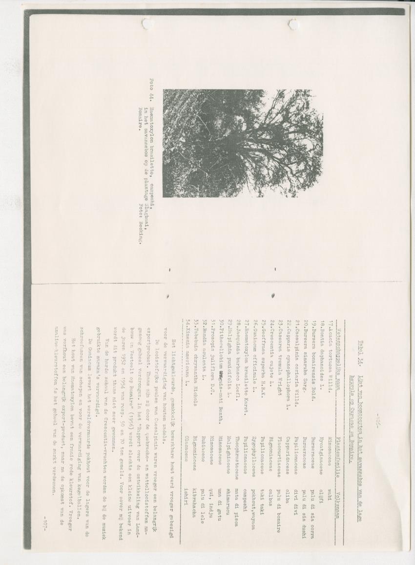 Z-Rapport over het gedurende de maanden juli en augustus 1961 in Suriname en de Nederlandse Antillen ten behoeve van het tien jaren plan verrichte onderzoek op het gebied van de Bosbouw - New Page