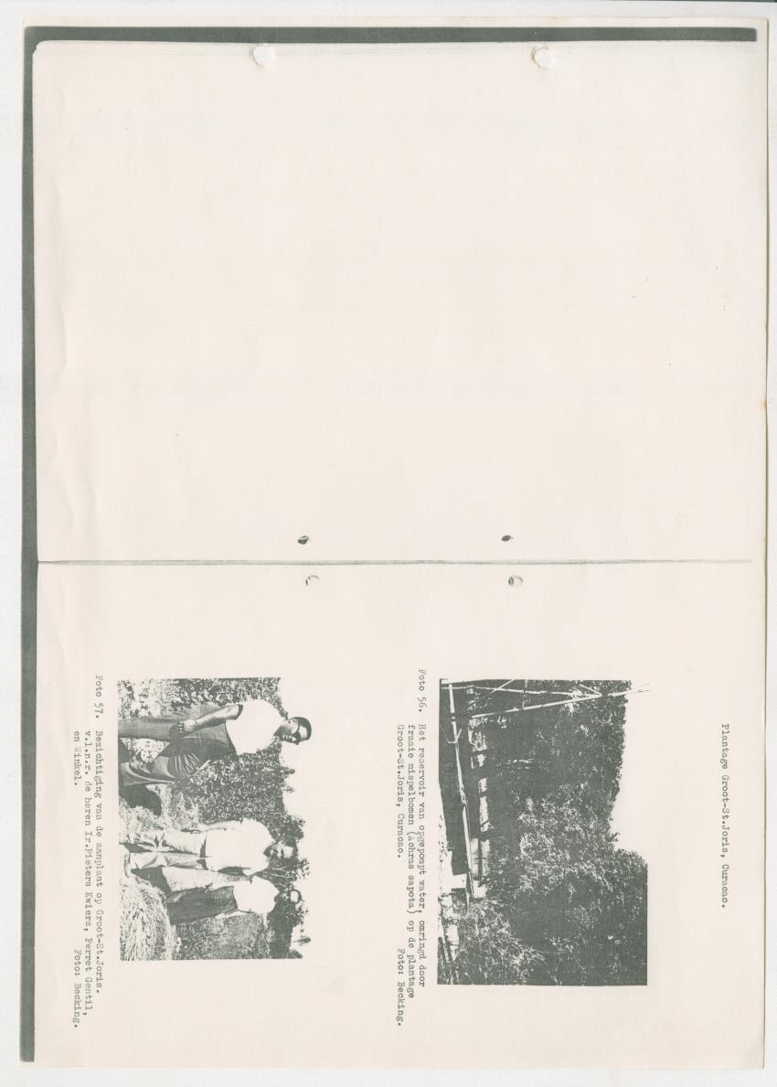 Z-Rapport over het gedurende de maanden juli en augustus 1961 in Suriname en de Nederlandse Antillen ten behoeve van het tien jaren plan verrichte onderzoek op het gebied van de Bosbouw - New Page