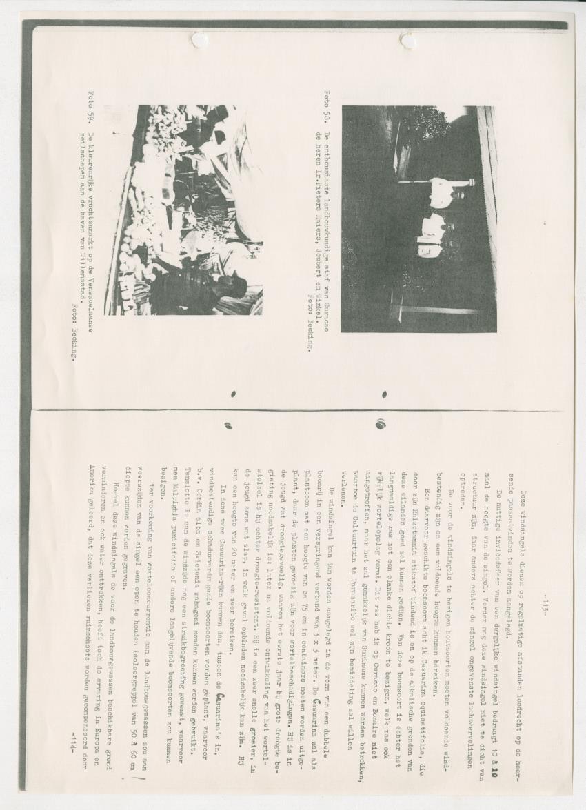 Z-Rapport over het gedurende de maanden juli en augustus 1961 in Suriname en de Nederlandse Antillen ten behoeve van het tien jaren plan verrichte onderzoek op het gebied van de Bosbouw - New Page