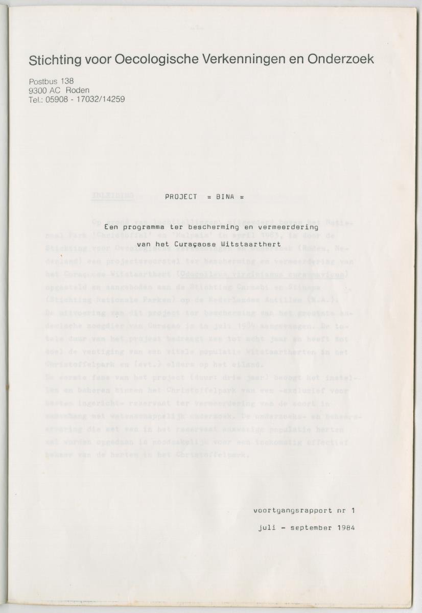 Project Bina, Een programma ter bescherming en vermeerdering van het Curacaose Witstaarthert; voortgangsrapport nr 1 - New Page