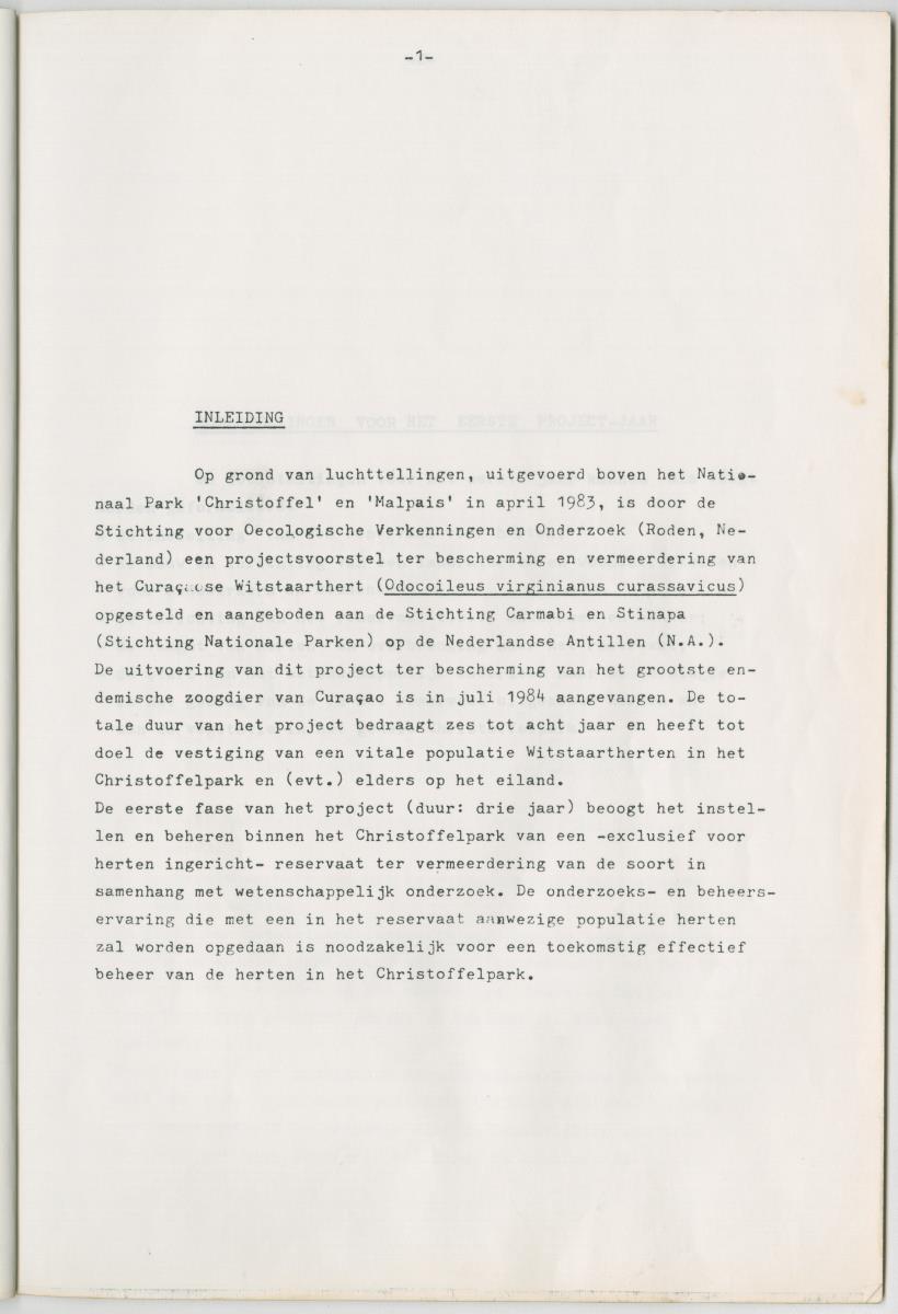 Project Bina, Een programma ter bescherming en vermeerdering van het Curacaose Witstaarthert; voortgangsrapport nr 1 - New Page