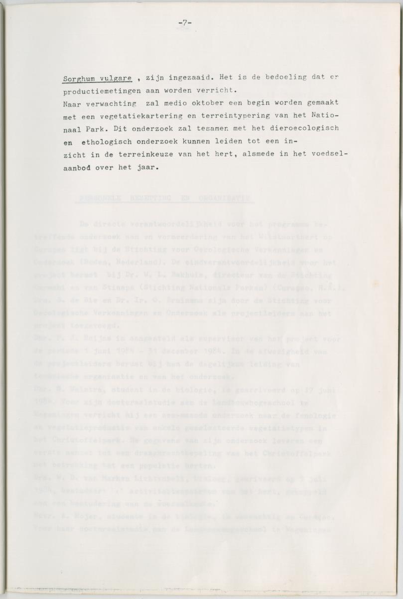 Project Bina, Een programma ter bescherming en vermeerdering van het Curacaose Witstaarthert; voortgangsrapport nr 1 - New Page