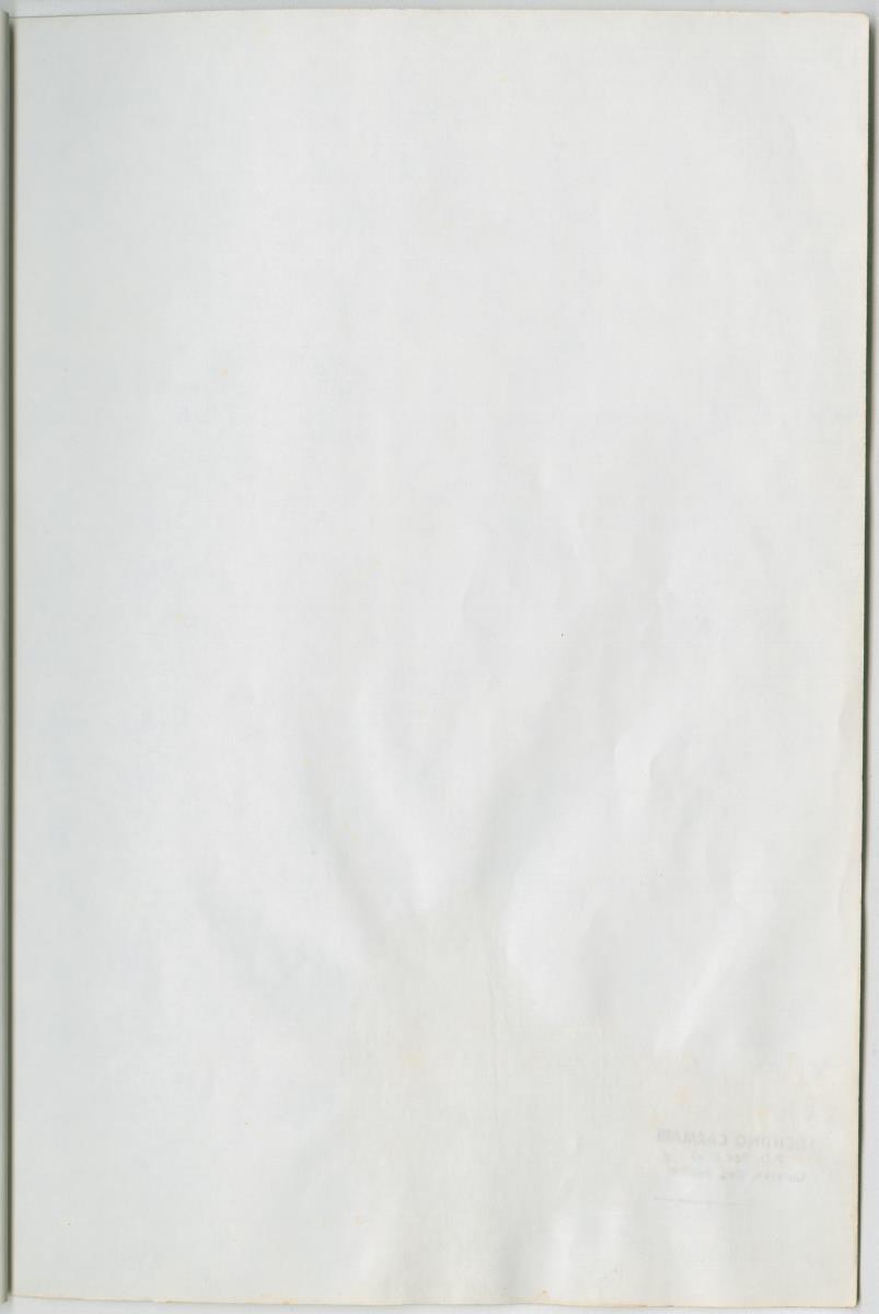 Project Bina, Een programma ter bescherming en vermeerdering van het Curacaose Witstaarthert; voortgangsrapport nr 1 - New Page