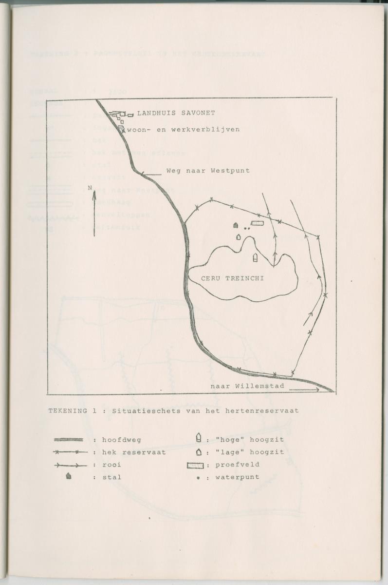 Project Bina, voortgangsrapport nr 2 - New Page