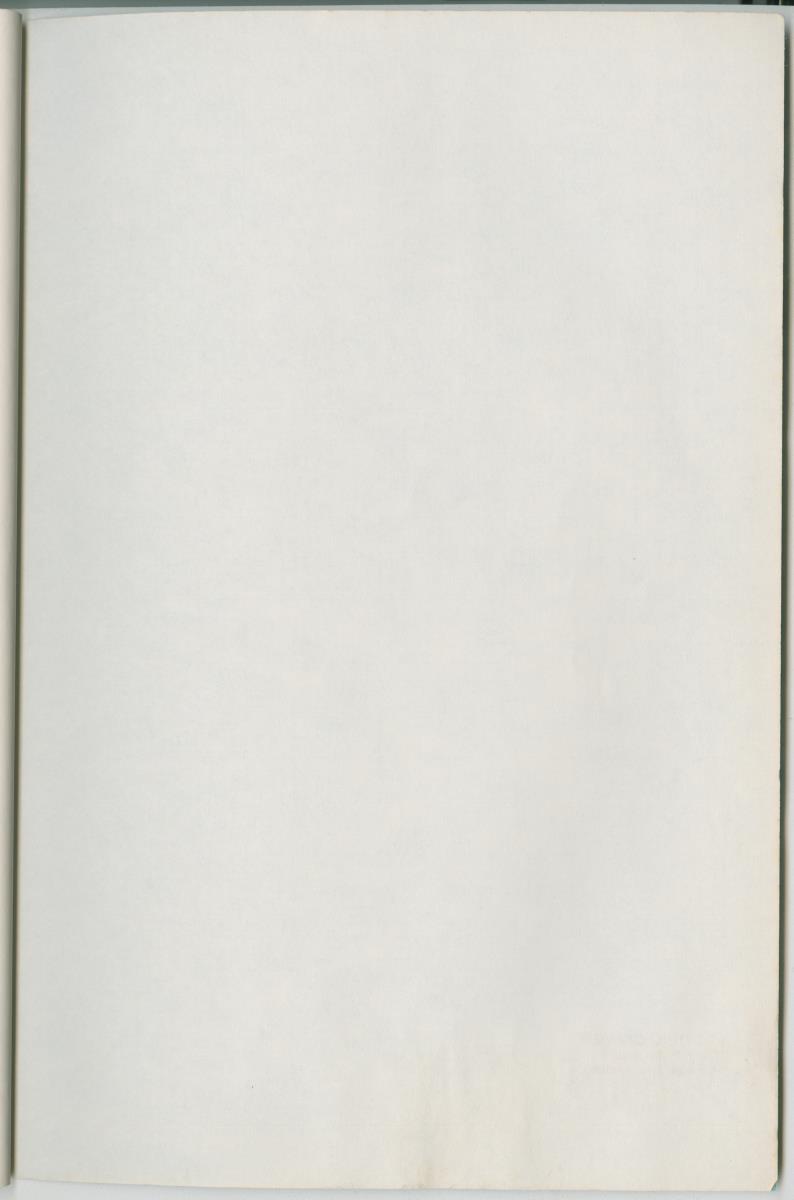 Project Bina, voortgangsrapport nr 2 - New Page