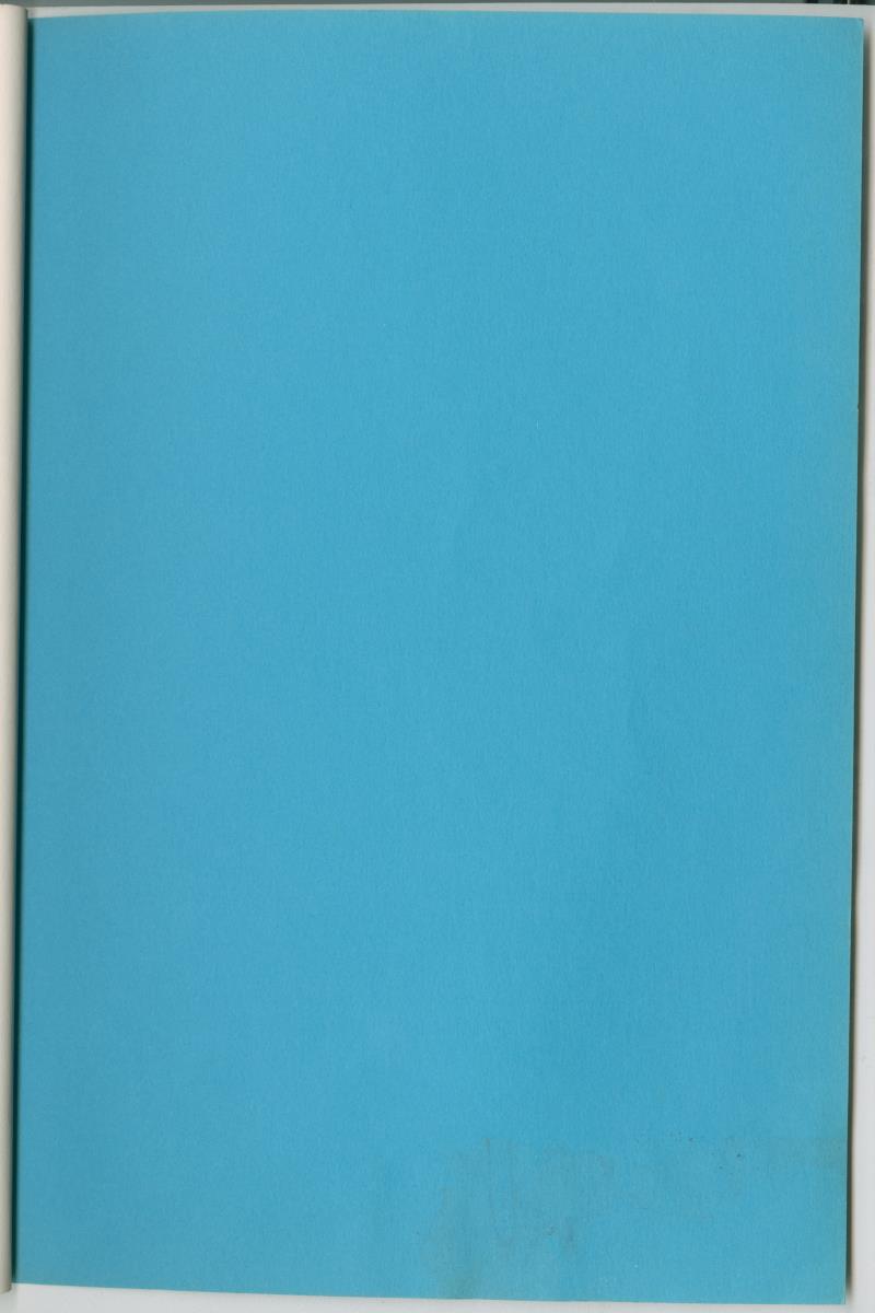 Project Bina, voortgangsrapport nr 2 - New Page